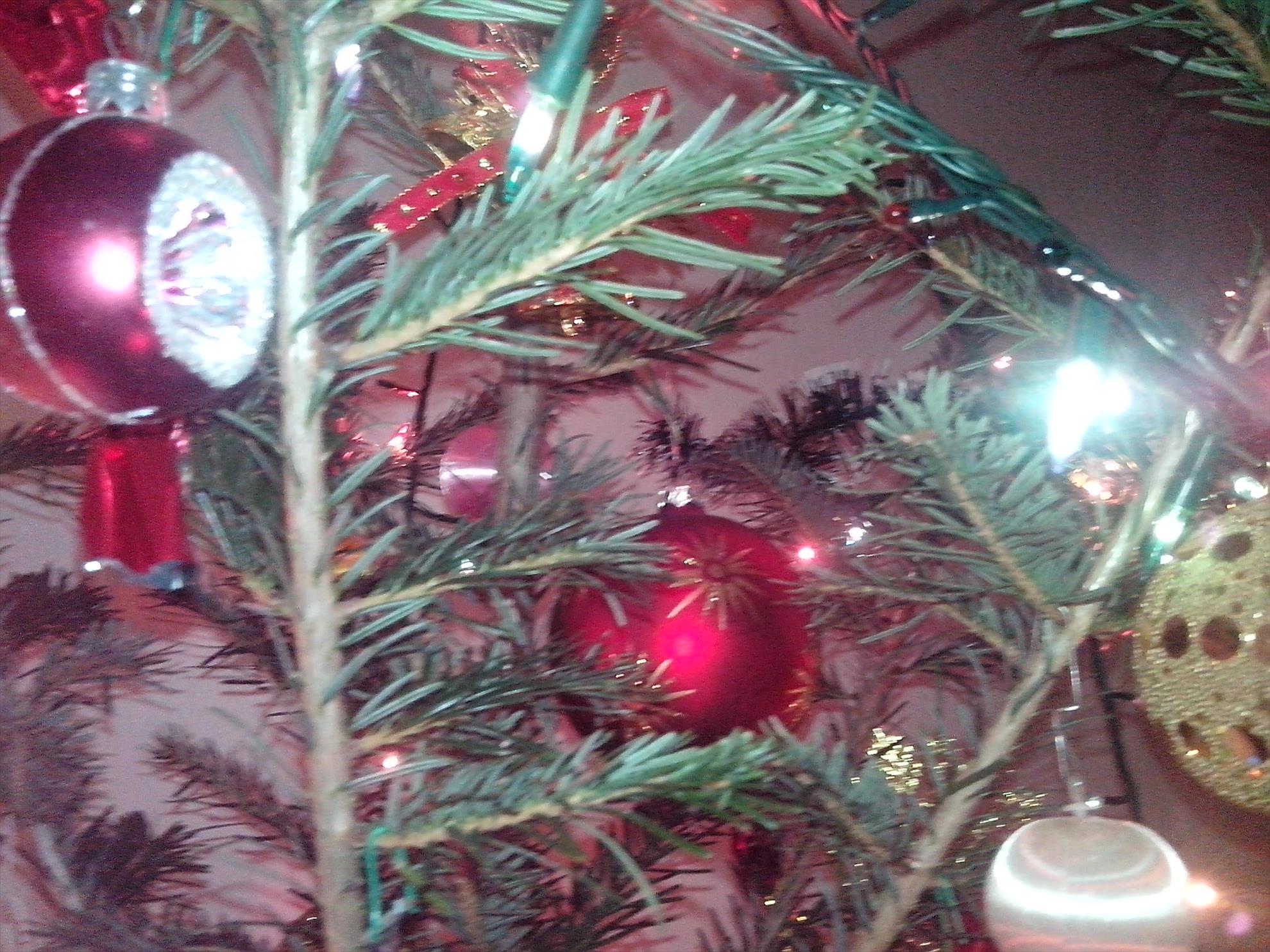 in asteptarea mosului - img20131221205651-1166833487.jpg